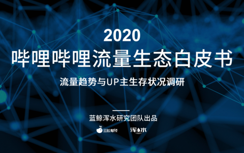 2020哔哩哔哩流量生态白皮书