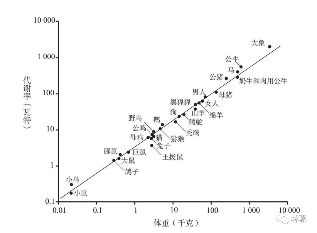 100种分析思维模型（008号）