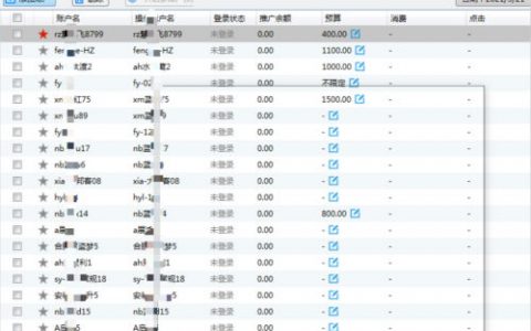 五年花光数千万，百度竞价保姆级教程来啦!
