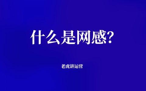 什么是网感