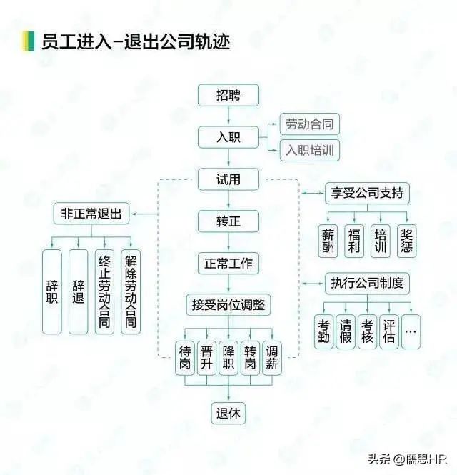 这是我见过最全的HR工作流程图