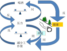 高手，都有系统性思维