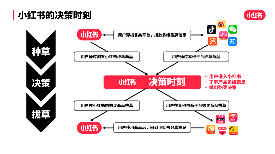 小红书专业号实操指南 | 品牌私域打法