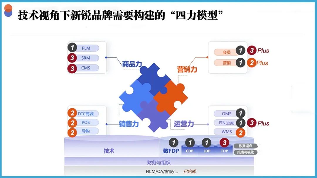 新锐品牌的“四力模型”