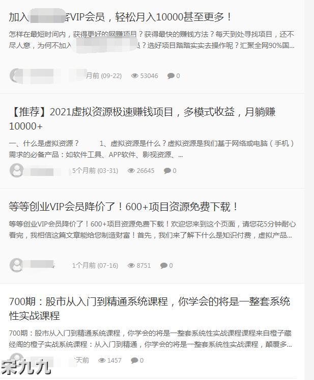 宋九九：网赚还能做吗？网赚兼职赚钱论坛博客现在应该怎么做？ 第3张