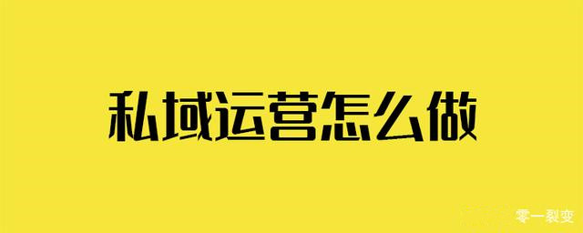 零一裂变拆解私域营收GMV增长实操案例
