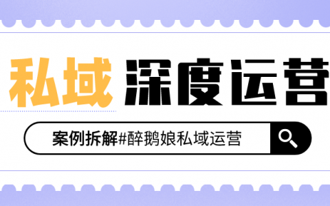 全网粉丝600万，醉鹅娘私域业绩提升30%-100%