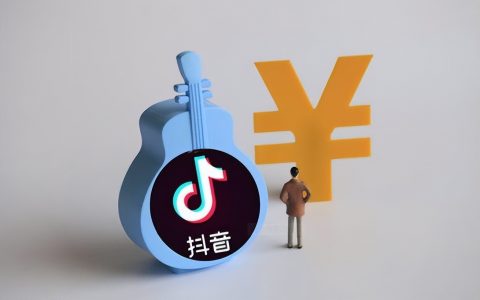 快衣青刀：色情业如何运用数据创新？