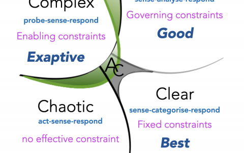 Cynefin框架（Cynefin framework）