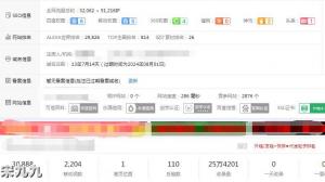 宋九九：网站SEO还能做吗？知名站长网站卖了77万！ 第2张