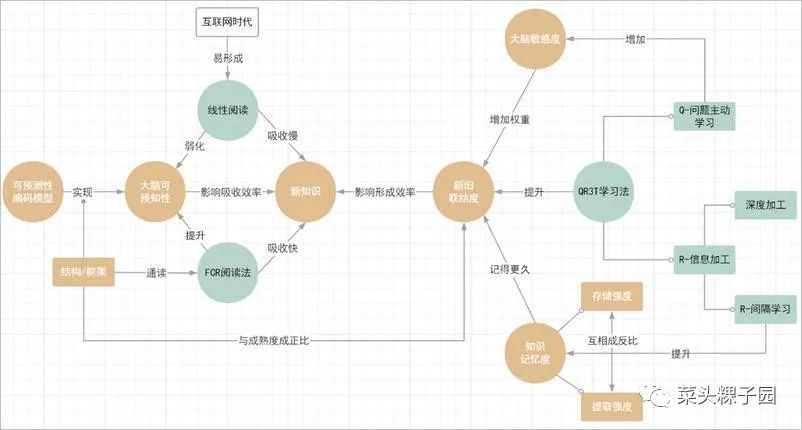 「思维图」读书多≠懂的多，如何让大脑真正高效阅读、学习？