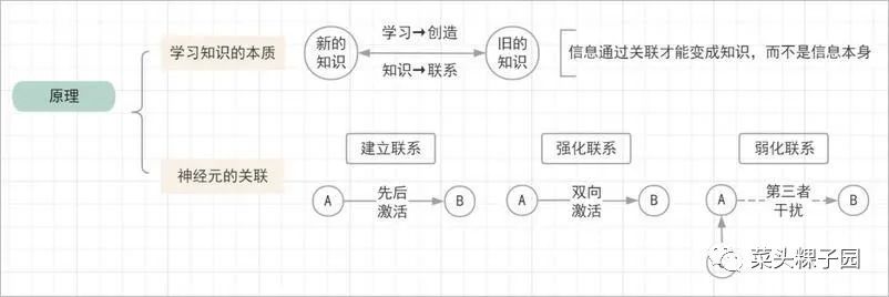 「思维图」读书多≠懂的多，如何让大脑真正高效阅读、学习？
