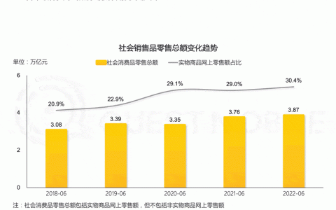 2022年中国移动互联网半年报告