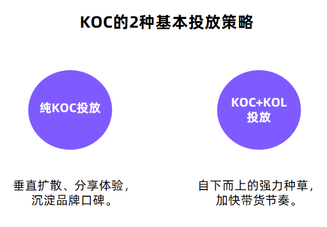 小红书KOC获得“官方认可”丨价值评估模型