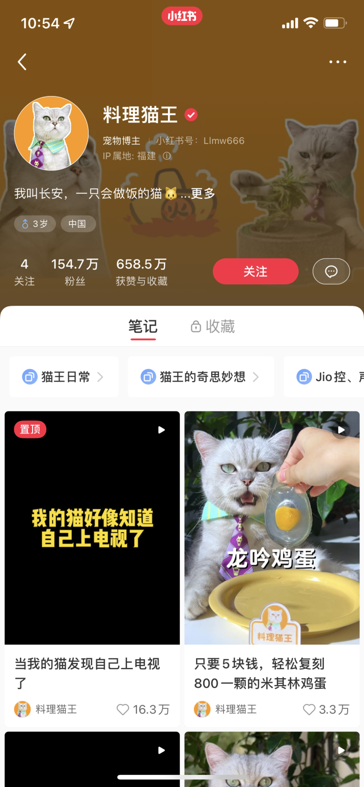 拆解小红书3个百万博主，房琪KIKI、料理猫王....到底做对了什么？