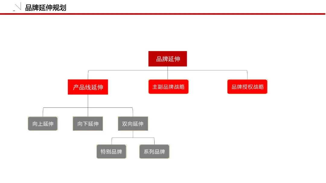 一套可套用的品牌策划必备模板！