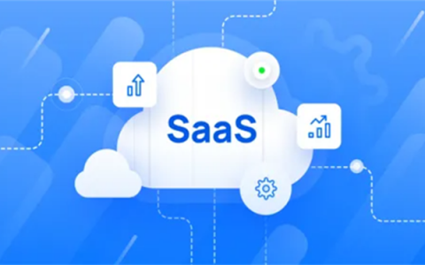 生鲜SAAS系统的优势是什么(SAAS系统是什么)
