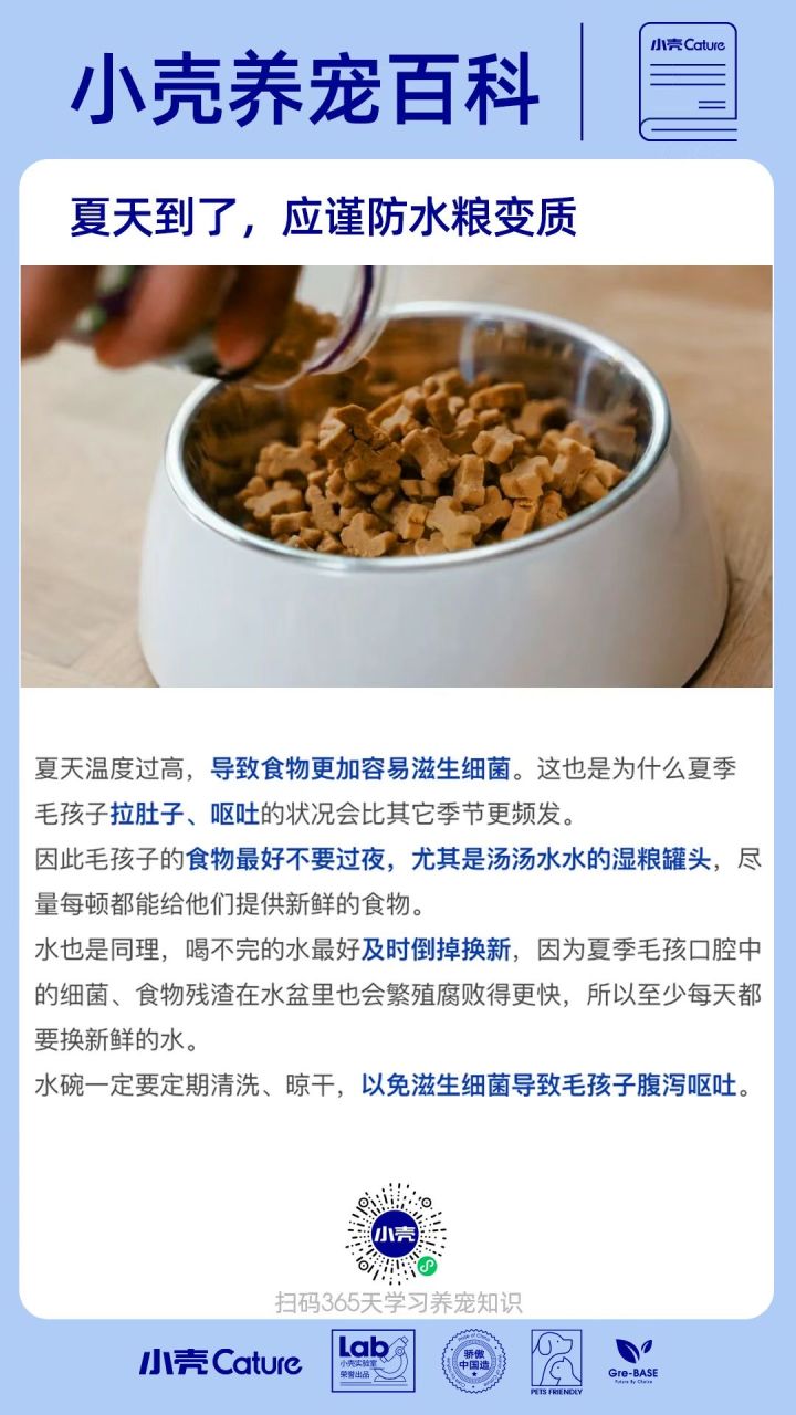 宠物用品行业如何做私域?小壳cature!