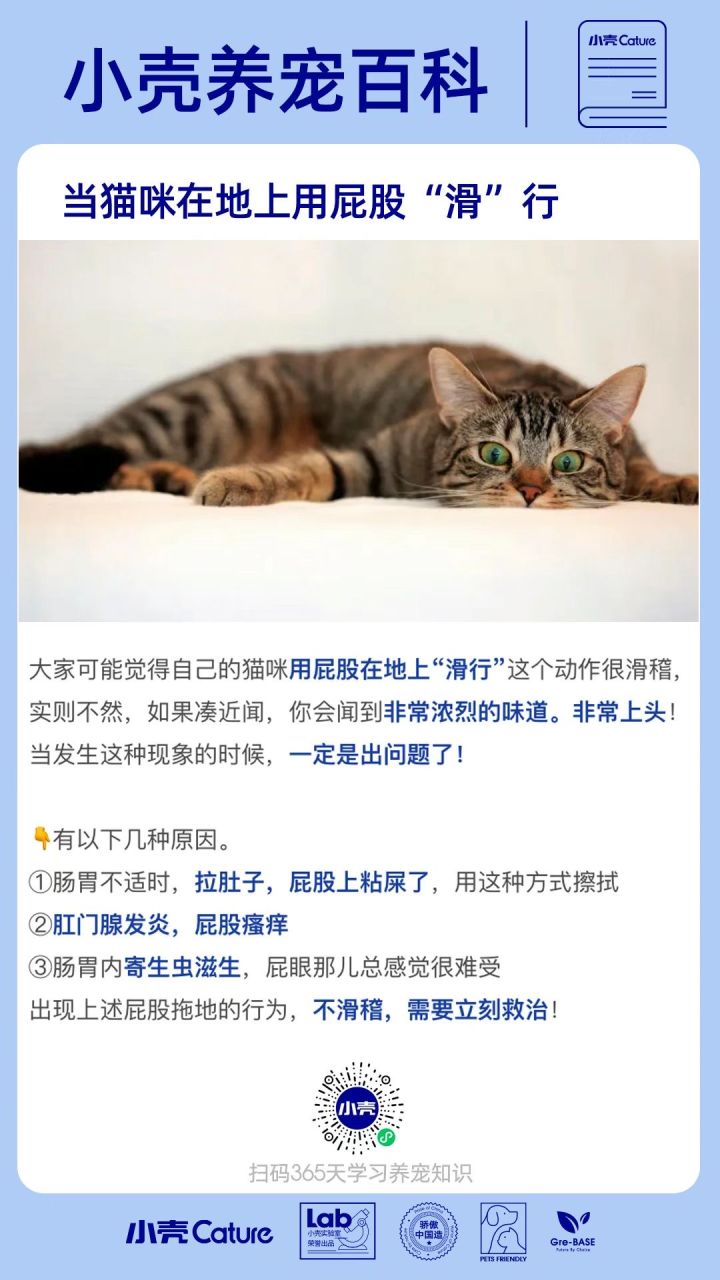 宠物用品行业如何做私域?小壳cature!