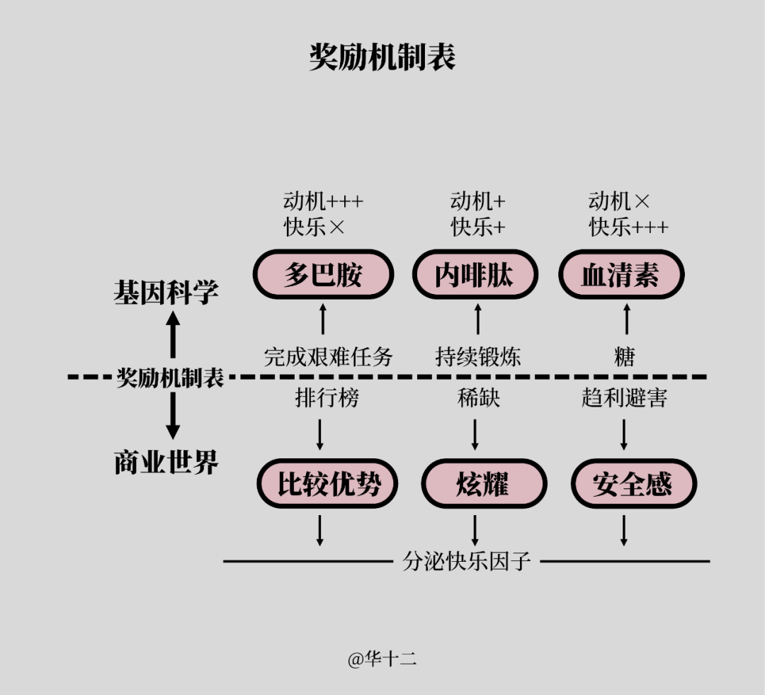 精华版：45张图看懂底层逻辑