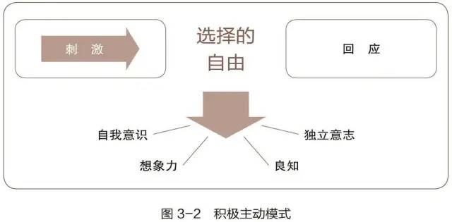 高效能人士的七个习惯 （20000字长文）