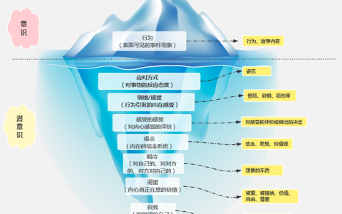 思维模型系列之：萨提亚个人内在冰山图