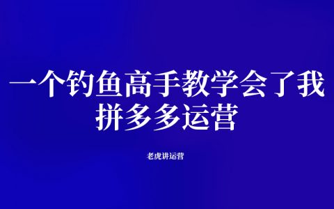 一个钓鱼高手教学会了我拼多多运营