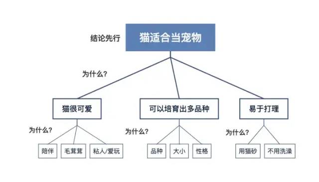 《金字塔逻辑》逻辑梳理