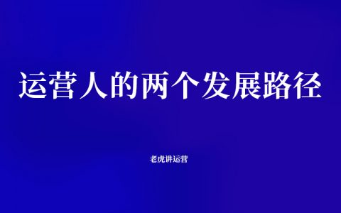 运营人的两个发展路径