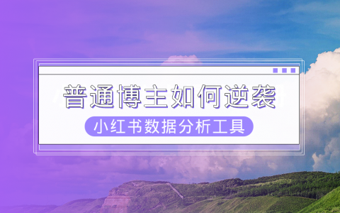 小红书数据分析网站：1周涨粉13W+，实现差异化运营！