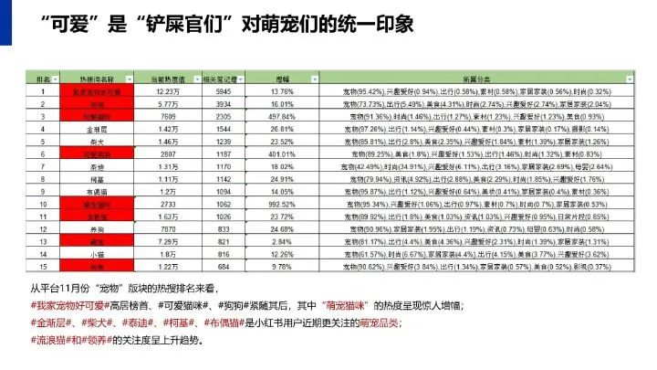 小红书传播运营规划方案