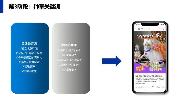 小红书传播运营规划方案