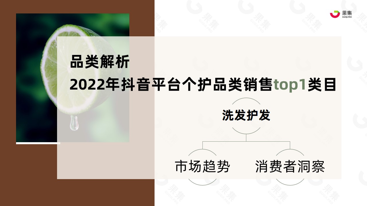 2023020308182975