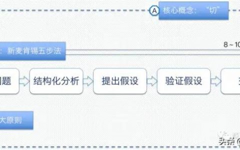新麦肯锡5步法：高效分析和解决问题的结构化思维模型