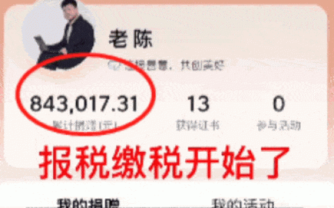 反诈老陈自曝2022年收入133万