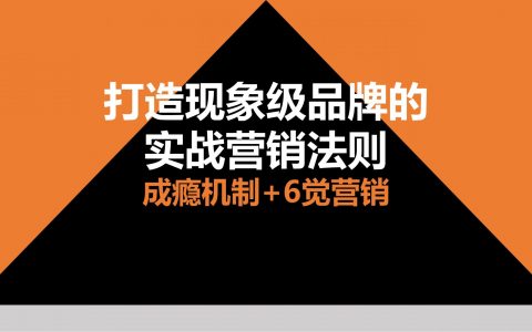 打造现象级品牌的实战营销法则.pdf