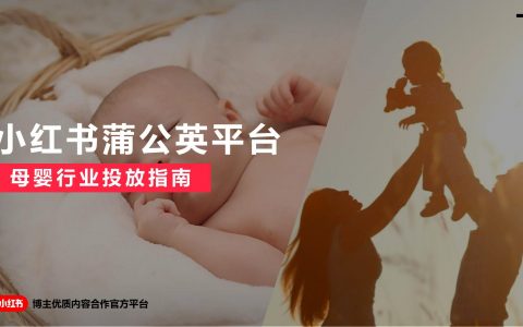 2023年小红书蒲公英母婴行业投放指南.pdf