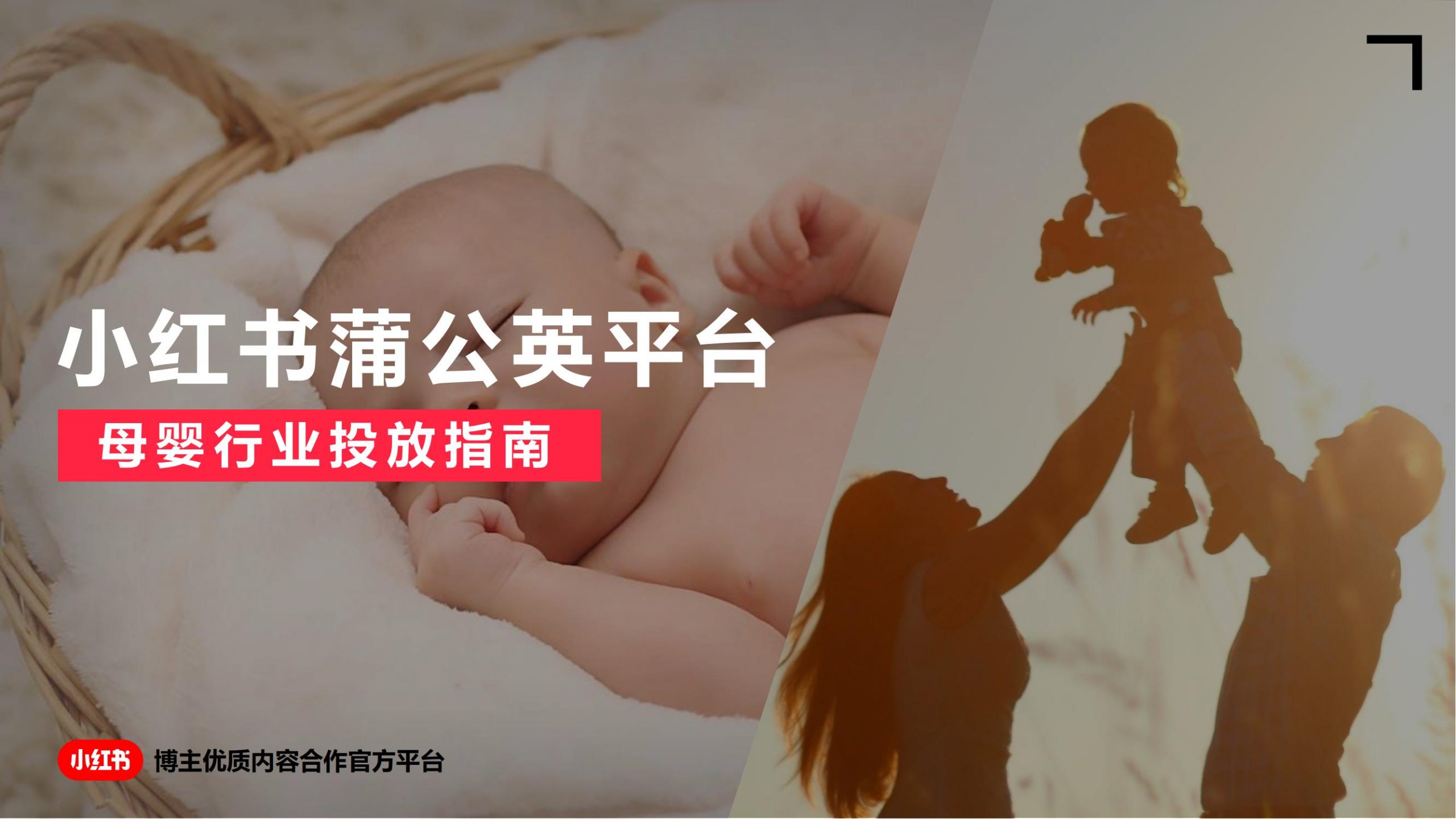 2023年小红书蒲公英母婴行业投放指南.pdf