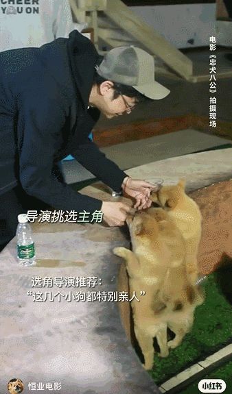 涨粉10w，官方反向营销获赞百万，小红书爆款怎么做？