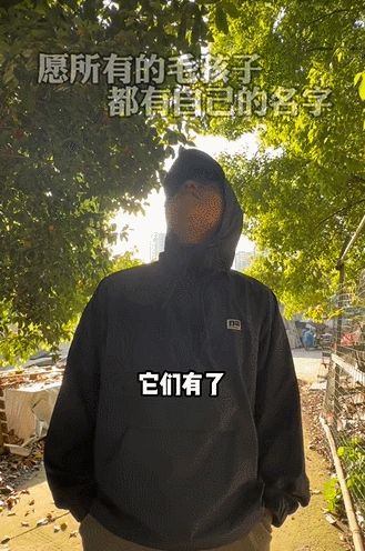 单篇笔记涨粉暴增，小红书最近在流行什么？