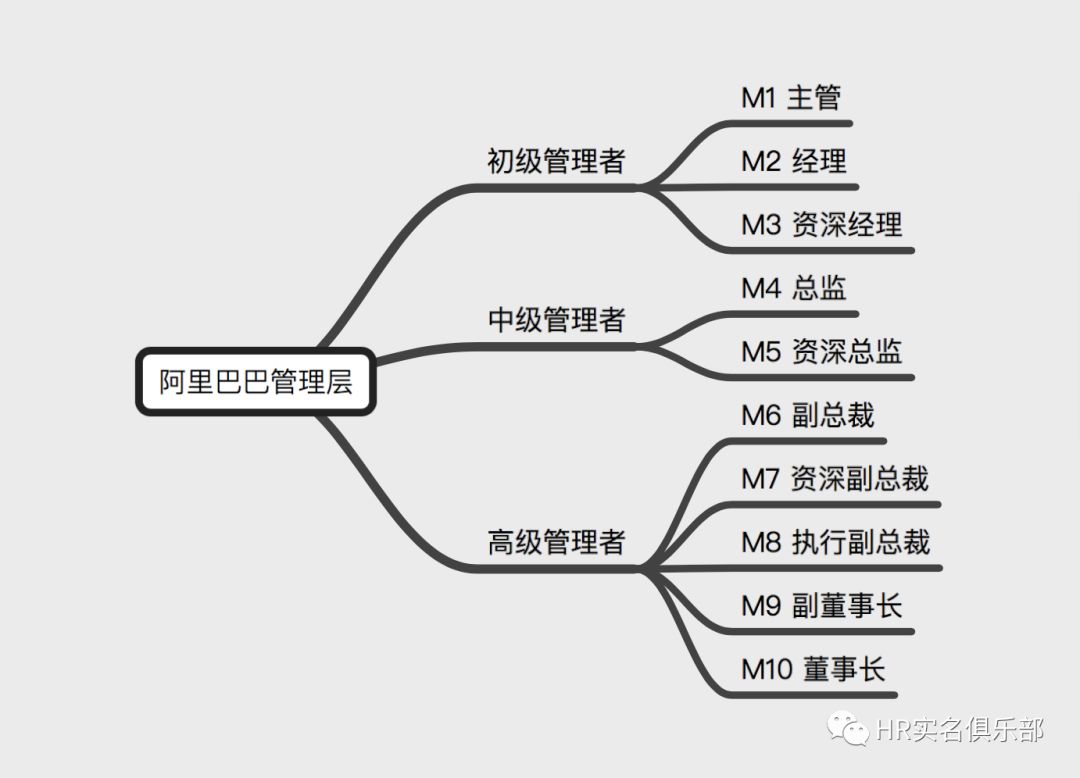 阿里leader培养，为什么要向下看两级？