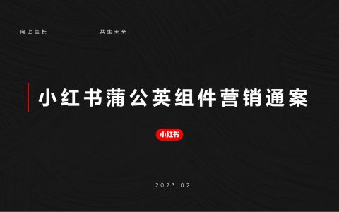 小红书蒲公英组件营销通案