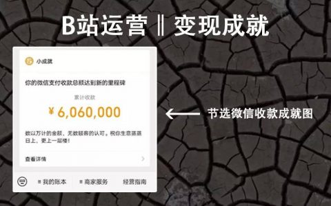 万字长文：我是如何在B站3个月通过运营变现600万的