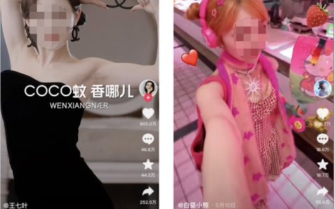 月涨粉近400万！爆款IP频出的蜂群文化有什么魔力？