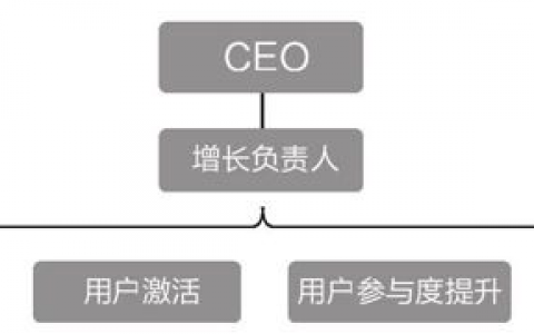 从零开始组建增长团队