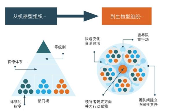 组织健康度，你了解有多少？