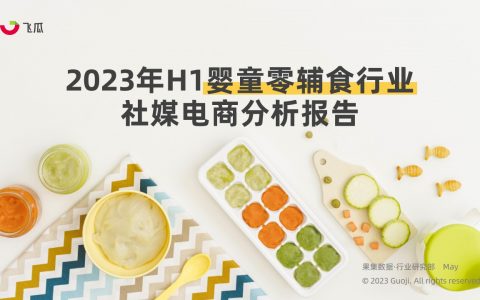 2023年H1婴童零辅食行业社媒电商分析报告-营养辅食持续放量，多元化产品有利于打开市场