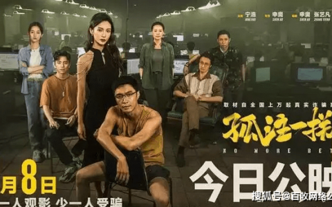 孤注一掷揭秘高薪骗局（电影孤注一掷值不值得一冲）