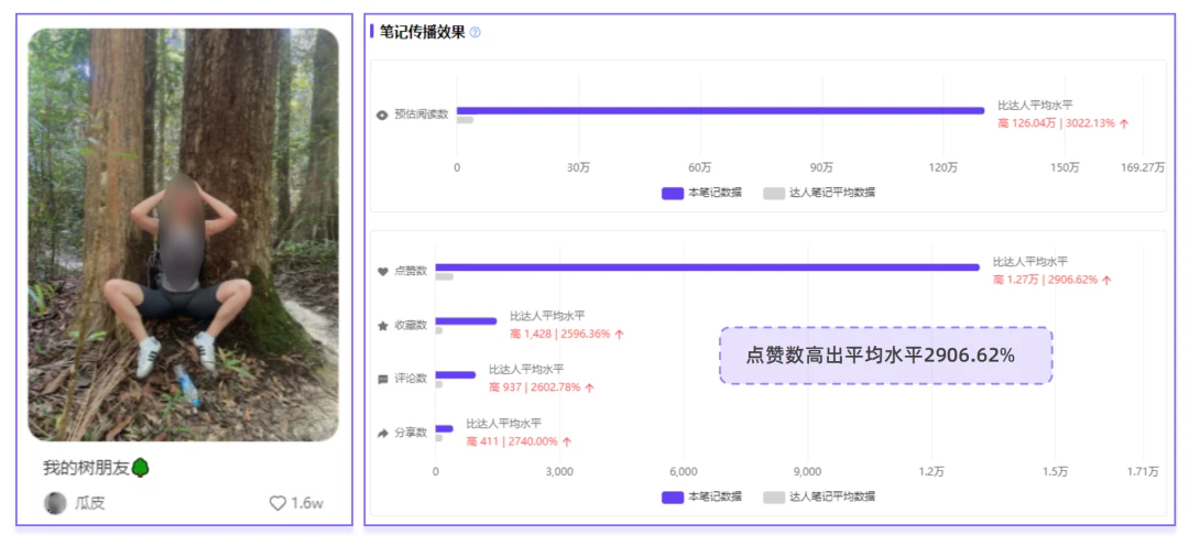 抱树、晒背、冰镇式露营，小红书用户热点出炉