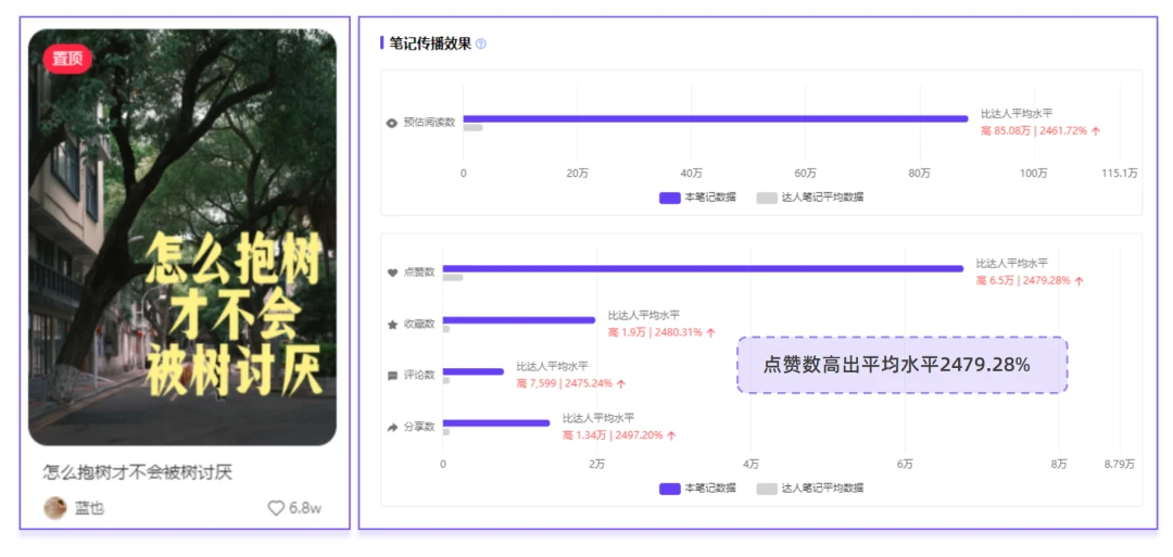 抱树、晒背、冰镇式露营，小红书用户热点出炉